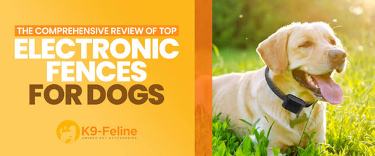 The Comprehensive Review of Top Electronic Fences for Dogs