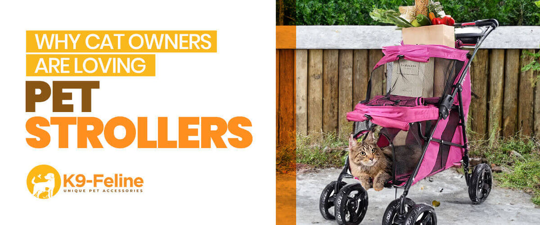 Why Cat Owners Are Loving Pet Strollers