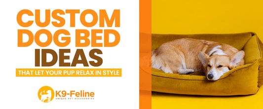 Custom Dog Bed Ideas That Let Your Pup Relax in Style