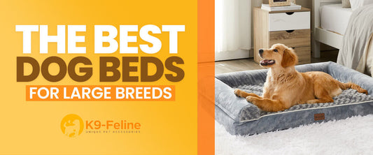 The Best Dog Beds for Large Breeds