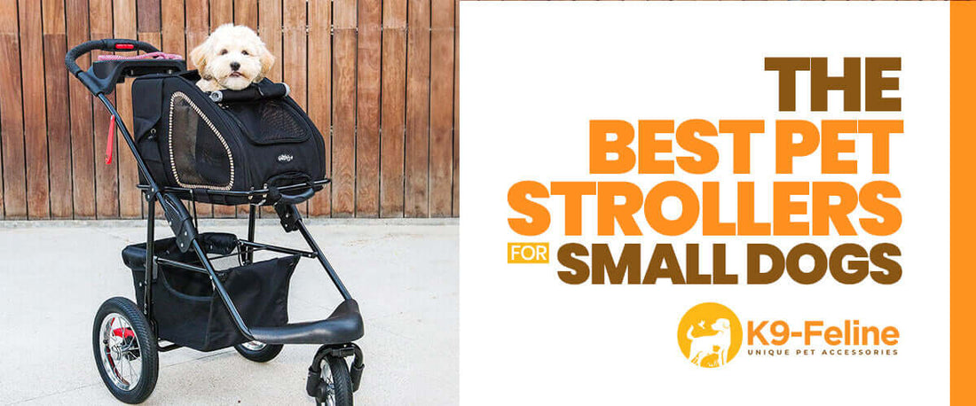 Best Pet Strollers for Small Dogs