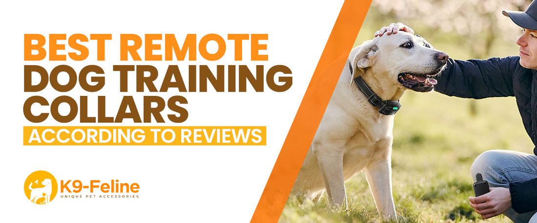 Best Remote Dog Training Collars, According to Reviews