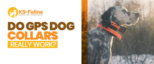 Do GPS Dog Collars Really Work?
