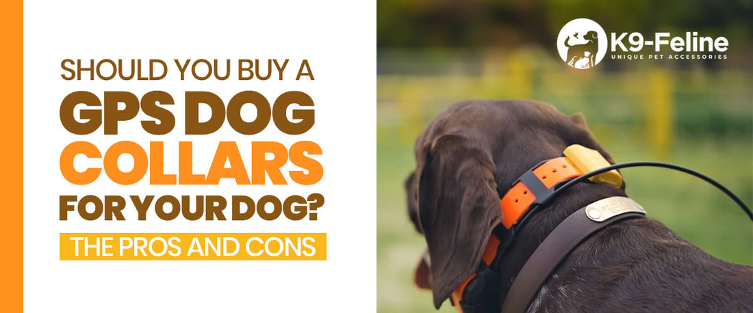 Should You Buy a GPS Collar for Your Dog? The Pros and Cons