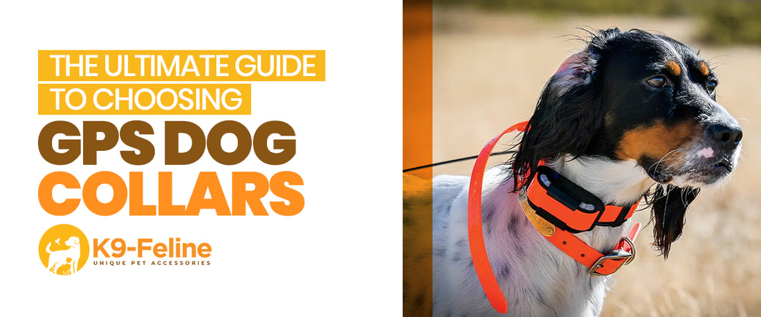 The Ultimate Guide to Choosing GPS Dog Collars