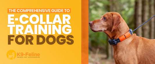 The Comprehensive Guide to E-Collar Training for Dogs