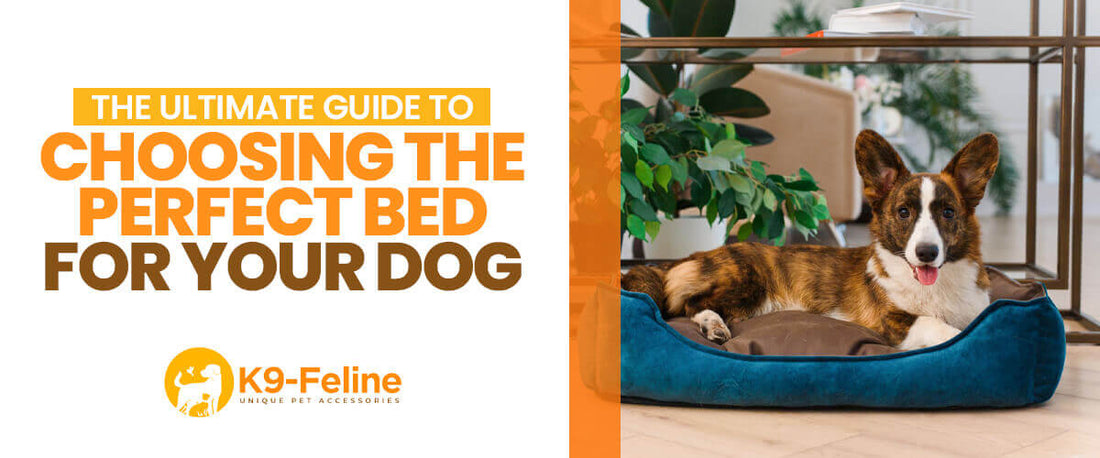 The Ultimate Guide to Choosing the Perfect Bed for Your Dog