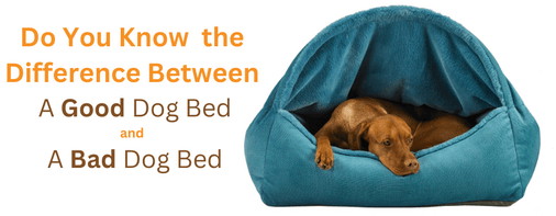 Characteristics of a Good Dog Bed vs Cheap Dog Bed