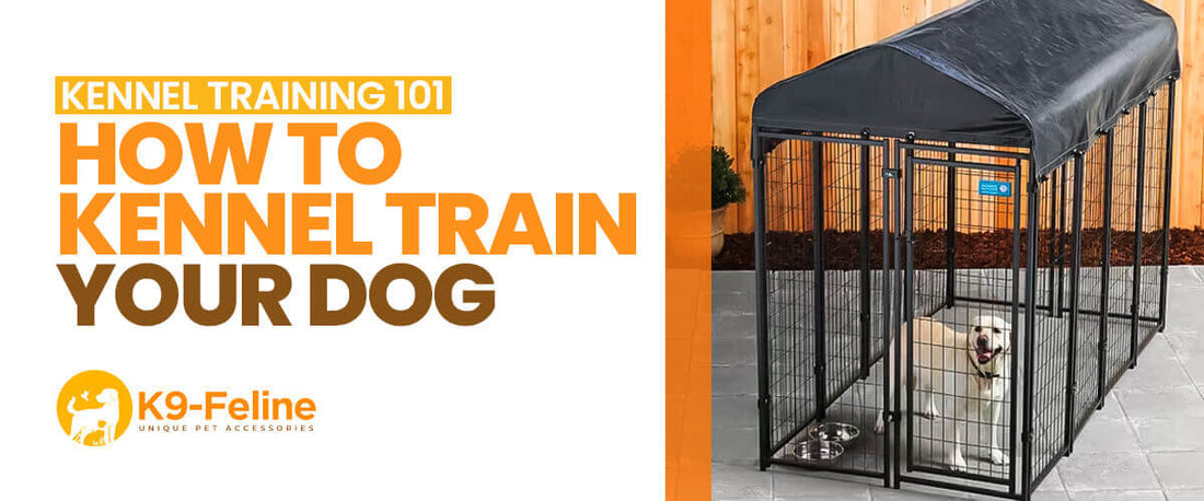 How to Kennel Train Your Dog