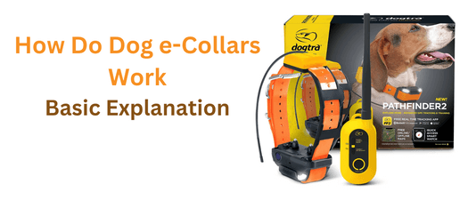 How Do Dog e-Collars Work - Basic Explanation?