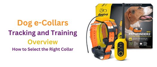 Ultimate Guide to GPS Dog Tracking & Training Collars