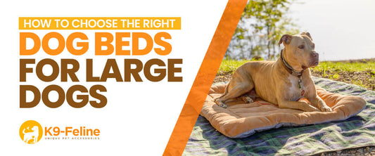 How to Choose the Right Dog Beds for Large Dogs