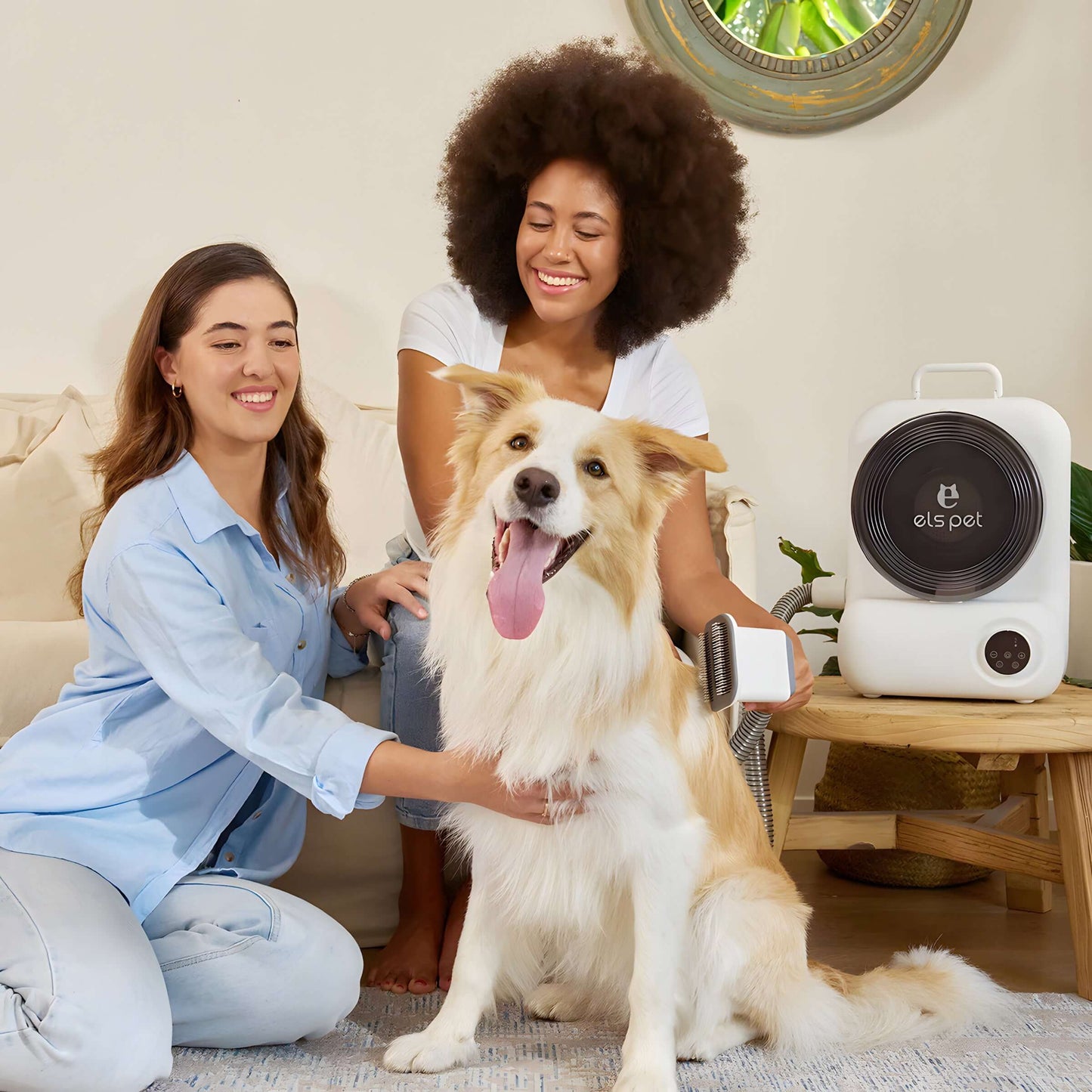 Two women using Home Grooming Vacuum Kit to groom a happy dog indoors, promoting pet grooming with vacuum efficiency and adjustable suction levels.