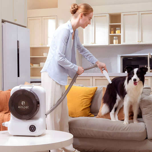 Woman using Home Grooming Vacuum Kit to groom a dog on a couch in a modern kitchen setting.