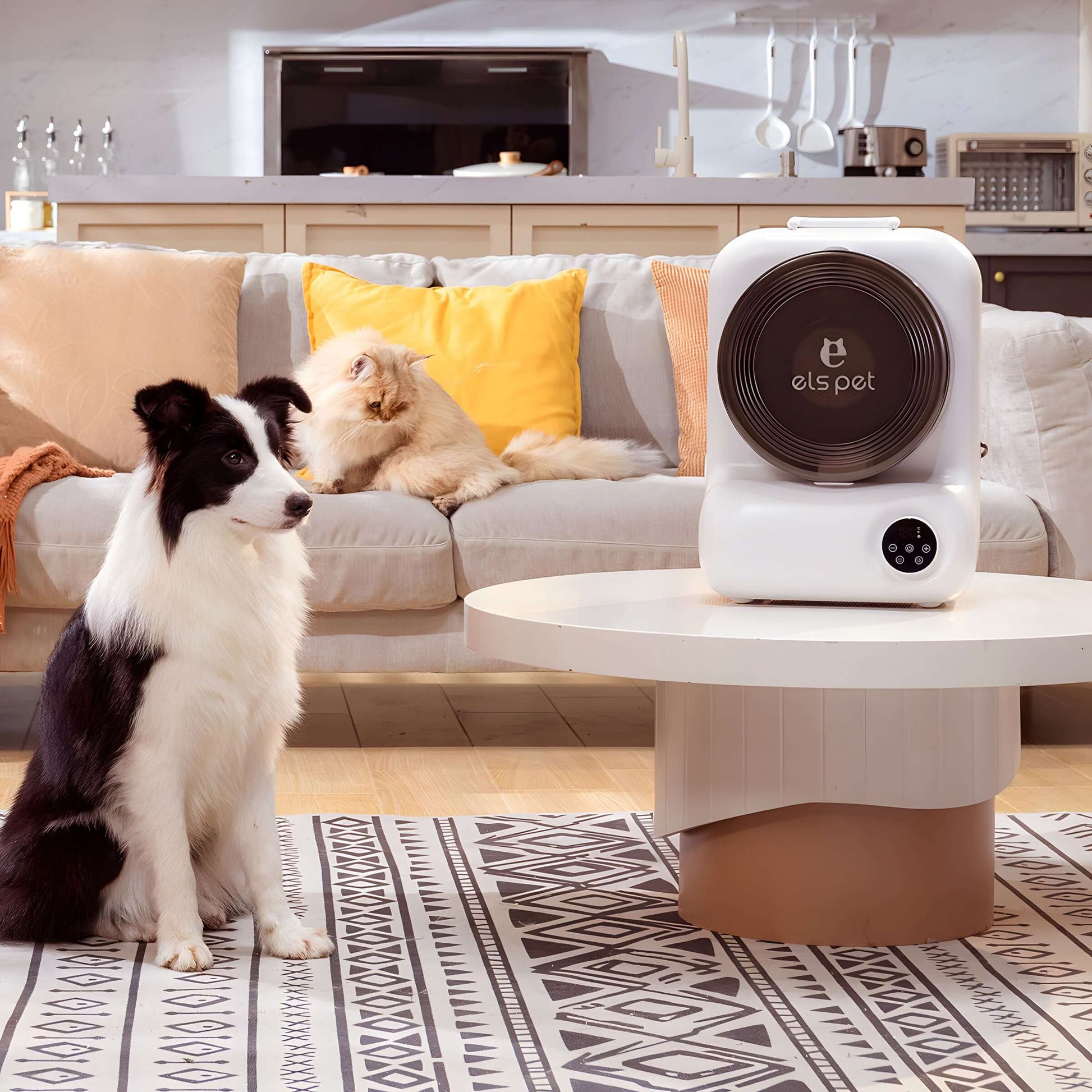 Dog and cat in living room with home grooming vacuum kit on coffee table.