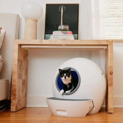 Black and white cat inside a sleek, spaceship-like smart self-cleaning litter box in a modern home setting.