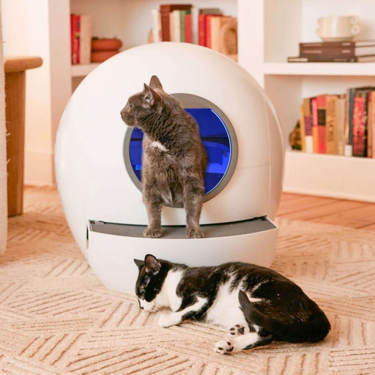 "Two cats with Smart Self-Cleaning Litter Box, spaceship-like design in modern home"