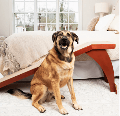 Bedside Dog Ramp K9 - Feline Unique Pet Accessories