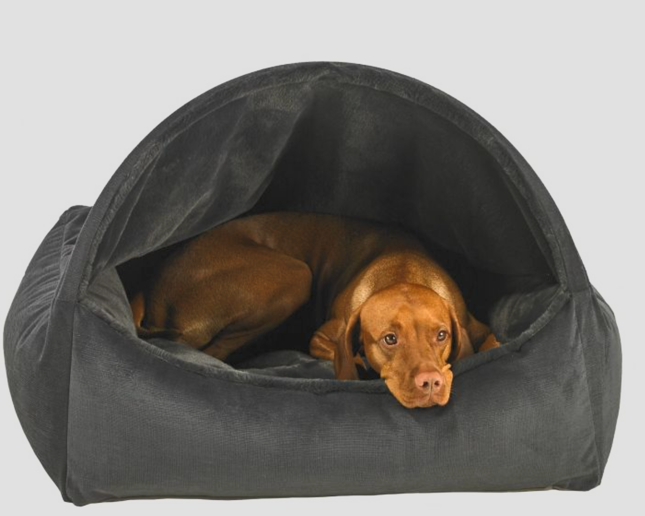 Bowsers Canopy Dog Bed | Color: Galaxy K9 - Feline Unique Pet Accessories