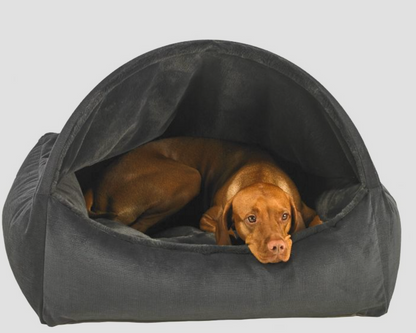 Bowsers Canopy Dog Bed | Color: Galaxy K9 - Feline Unique Pet Accessories