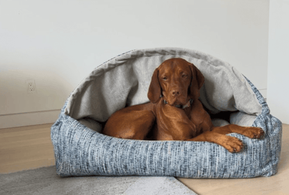 Bowsers Canopy Dog Bed | Color: Portofino K9 - Feline Unique Pet Accessories