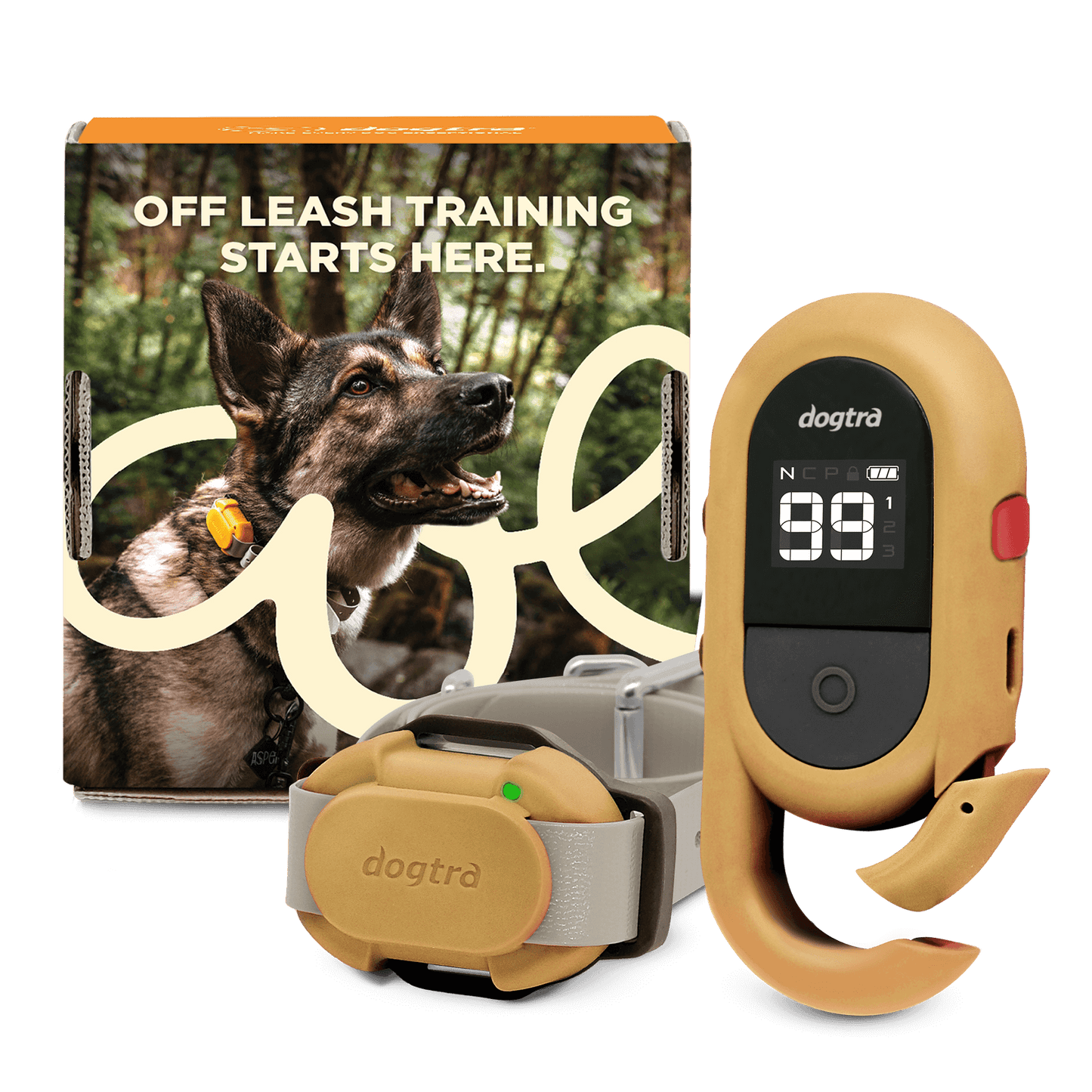 Dogtra CUE-2 training device with customizable keys for effective dog training in forest setting.