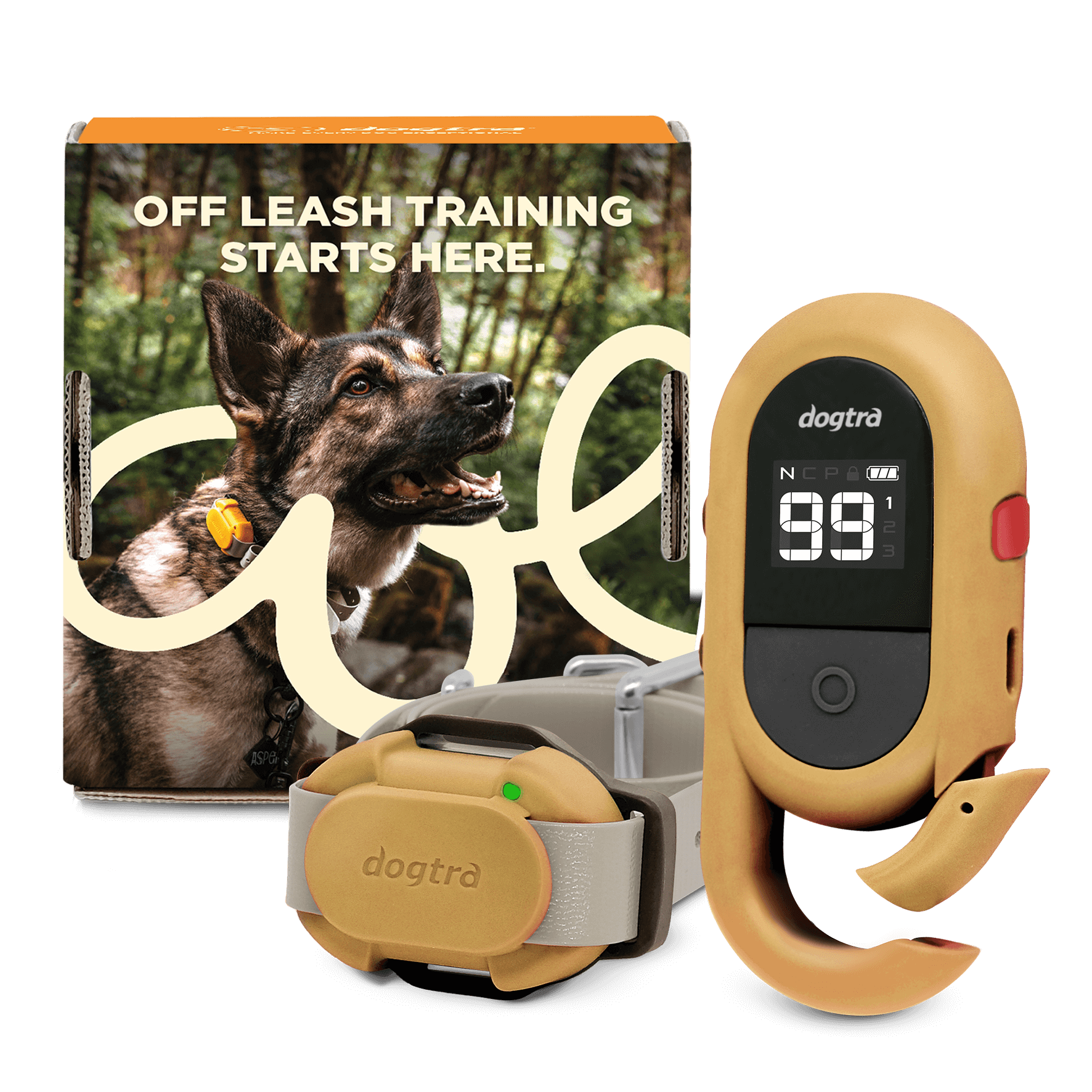 Dogtra CUE-2 training device with customizable keys for effective dog training in forest setting.