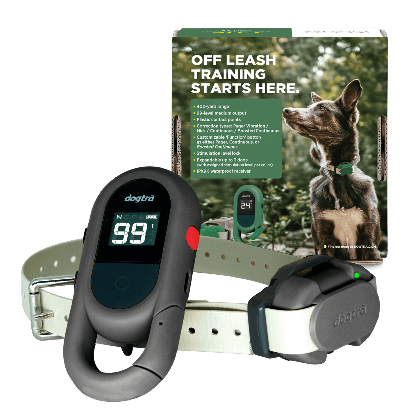 Dogtra CUE-2 training device with customizable function keys and collar for professional off-leash dog training.