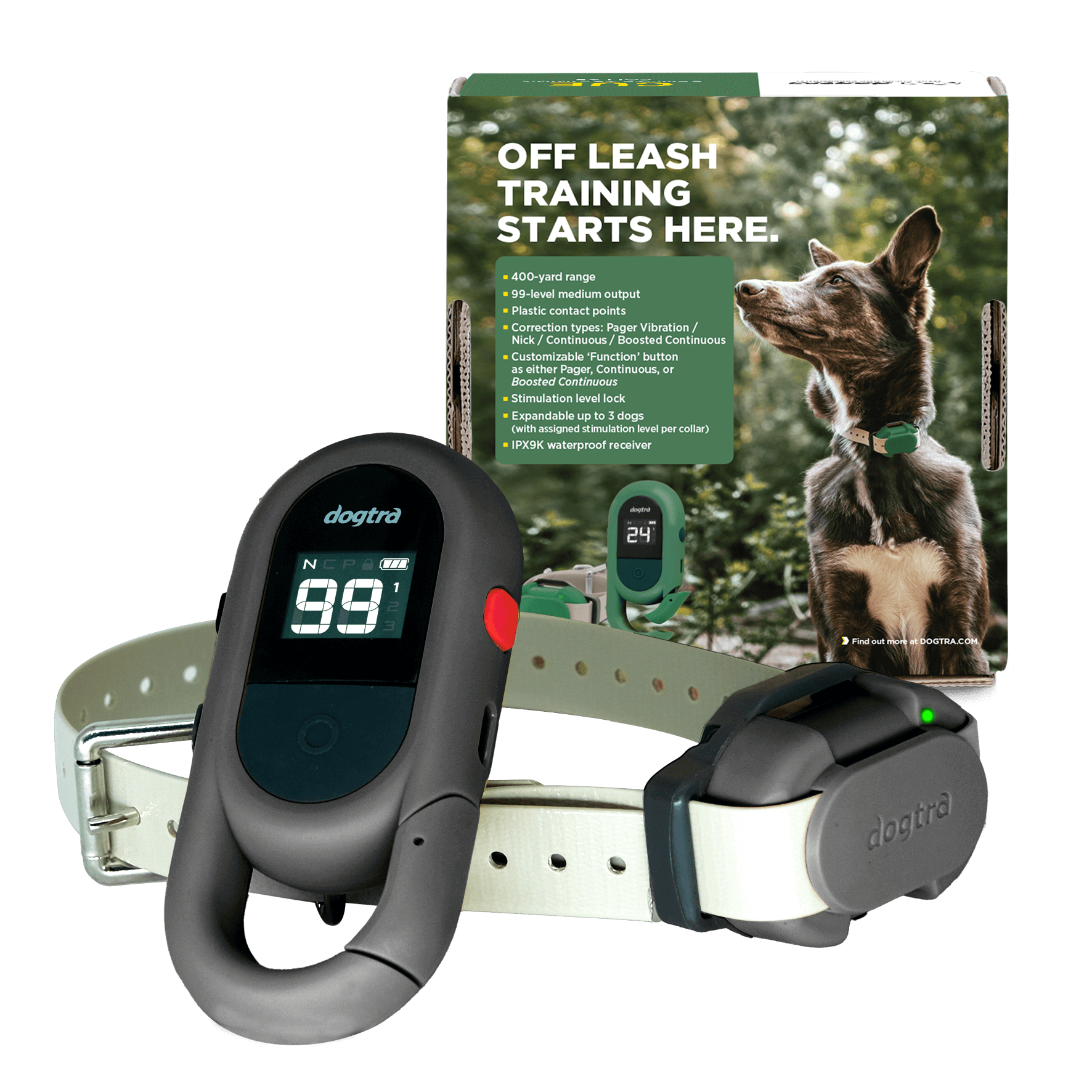 Dogtra CUE-2 training device with customizable function keys and collar for professional off-leash dog training.