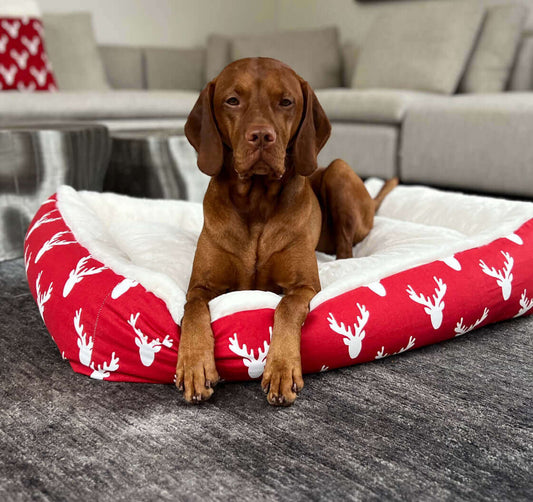 Luxe Alpine Lounger Dog Bed for Holidays K9 - Feline Unique Pet Accessories