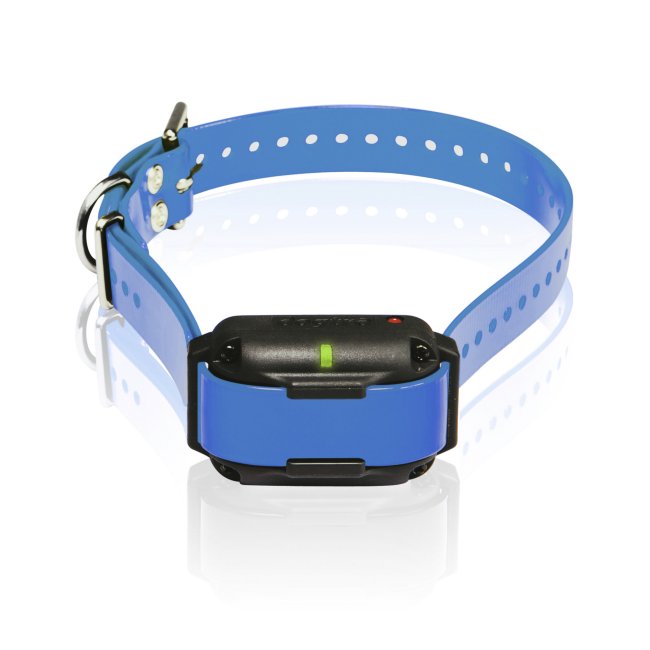 Dogtra Edge RT Trainer Extra Collars - Blue/Orange K9 - Feline Unique Pet Accessories