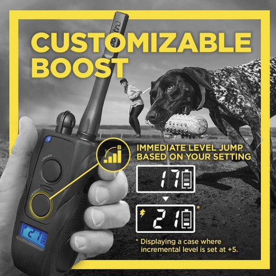 Dogtra 1900S Black Boost & Lock E-Collar Remote Dog Trainer 1-Mile Range K9 - Feline Unique Pet Accessories