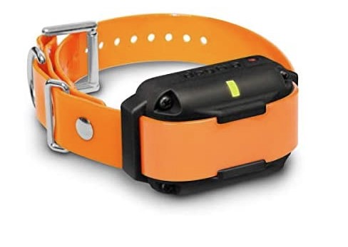 Dogtra 2300NCP Additional Receiver 3/4-Mile 2-Dog Expandable Remote Training Collar K9 - Feline Unique Pet Accessories