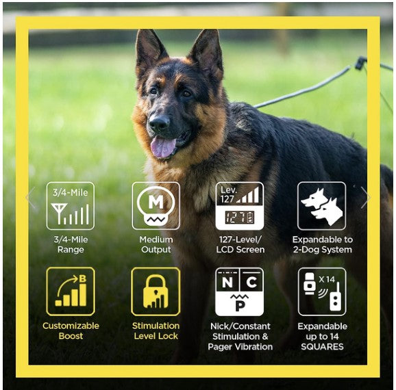 Dogtra ARC Remote Trainer K9 - Feline Unique Pet Accessories