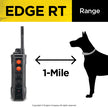 Dogtra Edge RT Trainer K9 - Feline Unique Pet Accessories