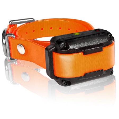 Dogtra - IQ Plus Additional Receiver - Orange K9 - Feline Unique Pet Accessories