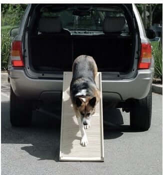 Petstep folding hotsell dog ramp