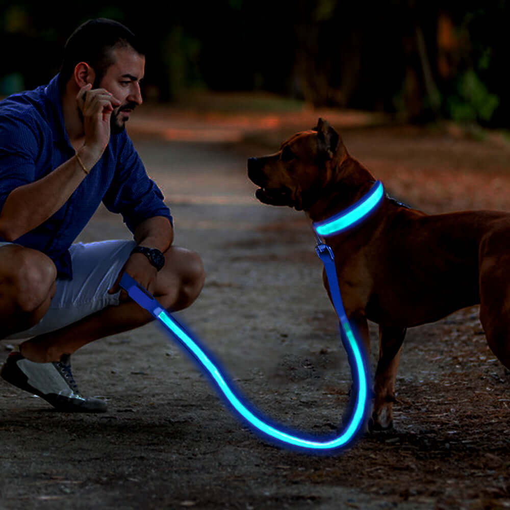 LED Lighted Safety Dog Leash K9 - Feline Unique Pet Accessories