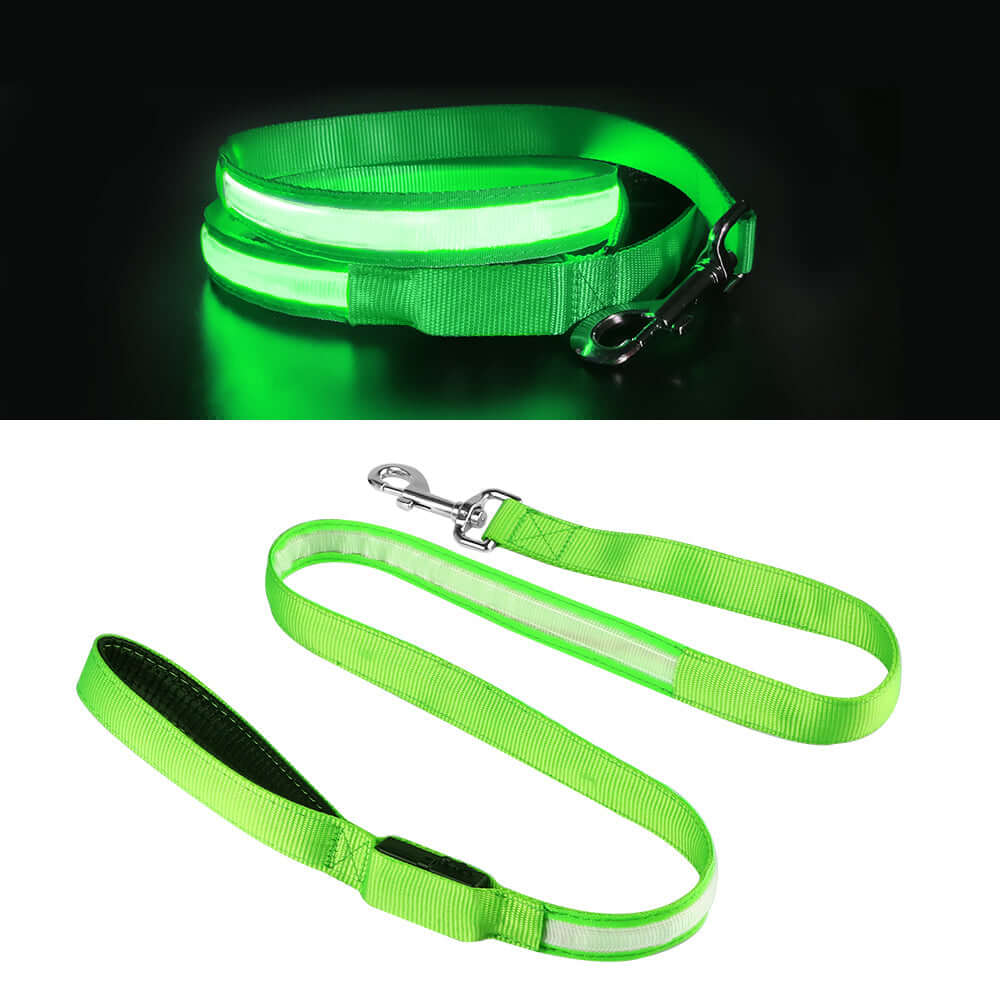 LED Lighted Safety Dog Leash K9 - Feline Unique Pet Accessories