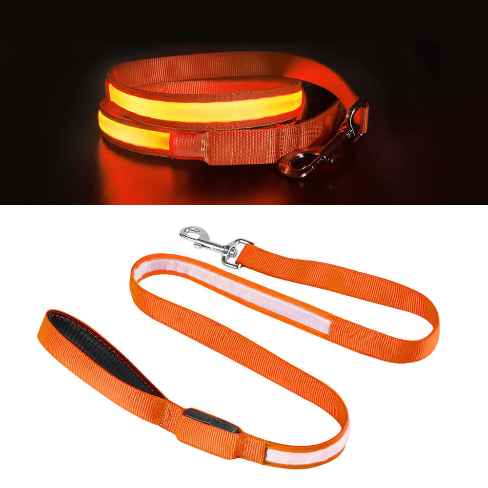 LED Lighted Safety Dog Leash K9 - Feline Unique Pet Accessories