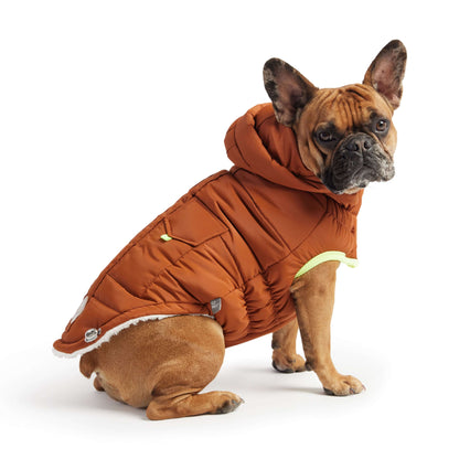 Super Puff Parka - Hazel K9 - Feline Unique Pet Accessories