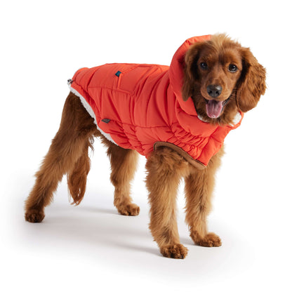 Super Puff Parka - Orange K9 - Feline Unique Pet Accessories