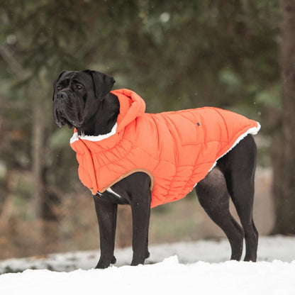 Super Puff Parka - Orange K9 - Feline Unique Pet Accessories