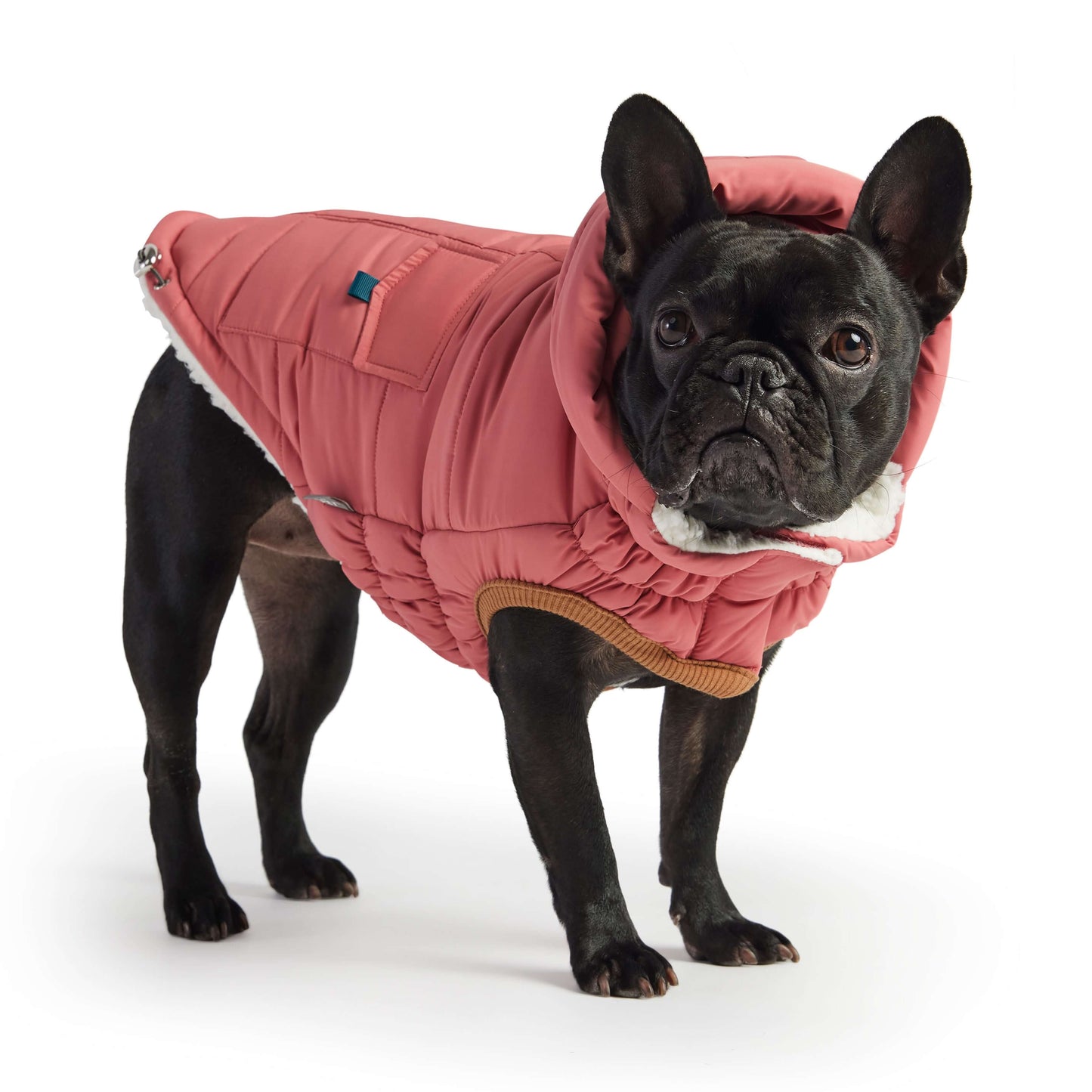 Super Puff Parka - Pink K9 - Feline Unique Pet Accessories