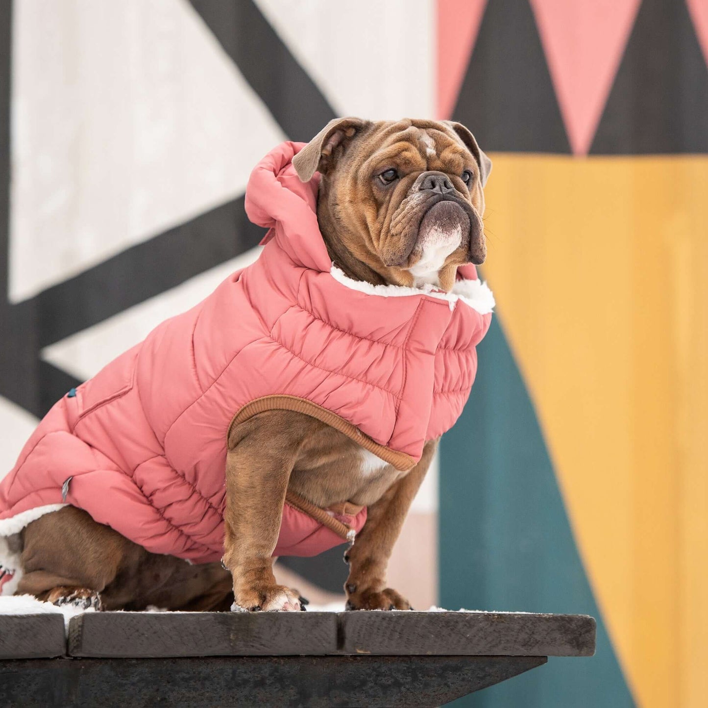 Super Puff Parka - Pink K9 - Feline Unique Pet Accessories