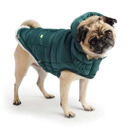 Super Puff Parka - Teal K9 - Feline Unique Pet Accessories