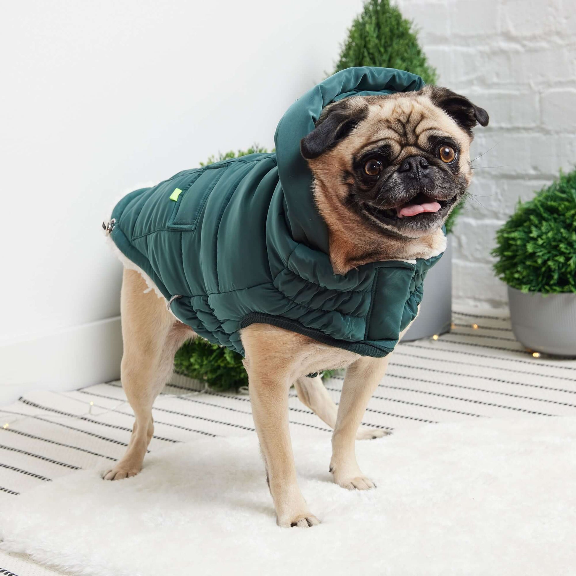 Super Puff Parka - Teal K9 - Feline Unique Pet Accessories