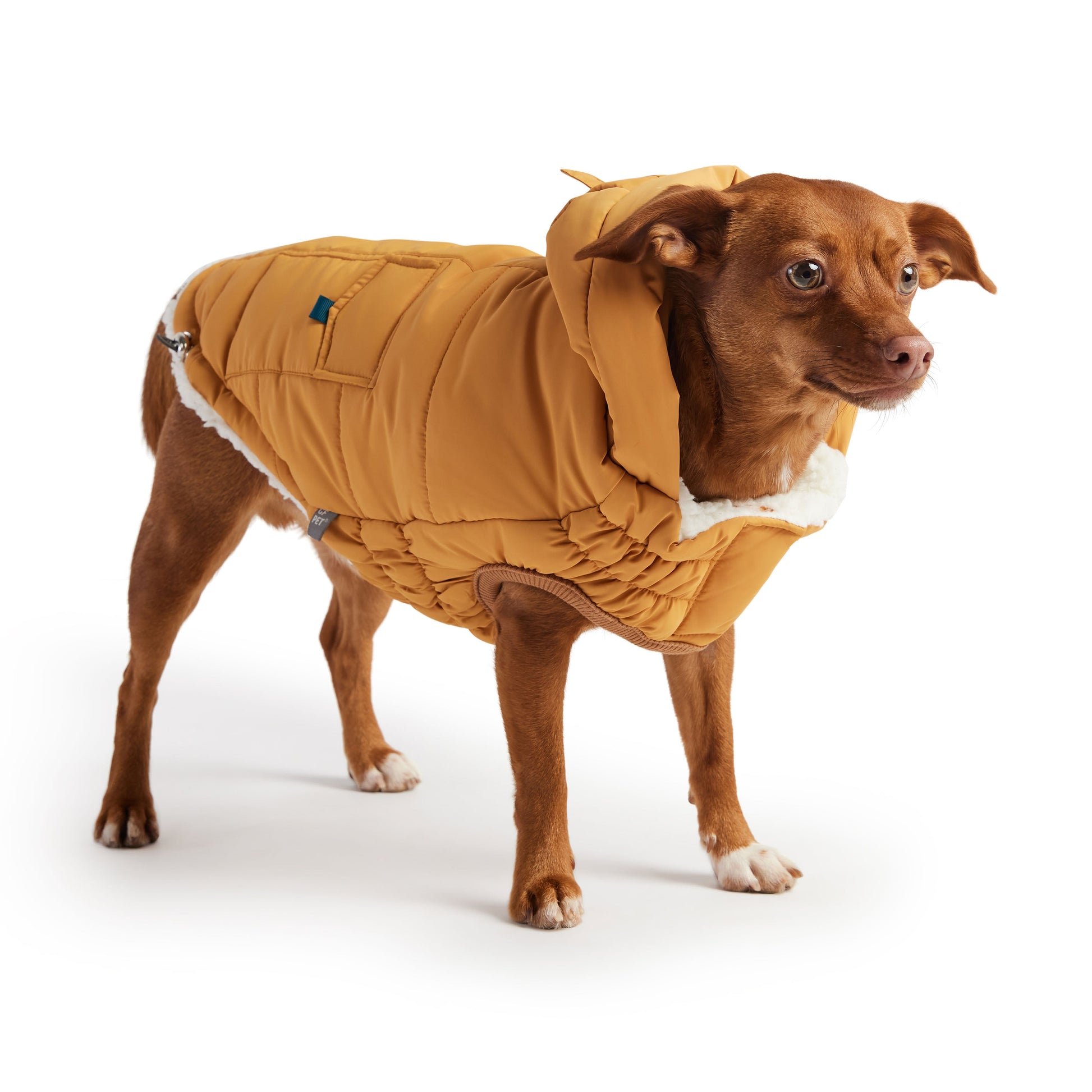 Super Puff Parka - Yellow K9 - Feline Unique Pet Accessories