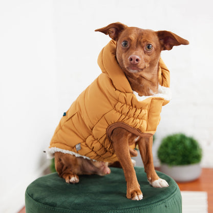 Super Puff Parka - Yellow K9 - Feline Unique Pet Accessories