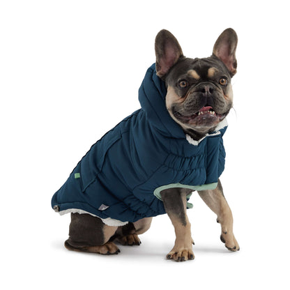 Arctic Parka - Teal K9 - Feline Unique Pet Accessories